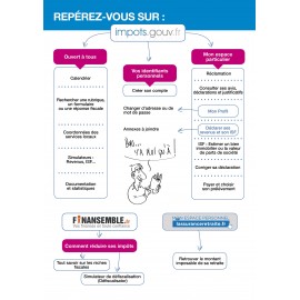 Livre "Déclarer ses revenus sur le site des impôts" : Organigramme